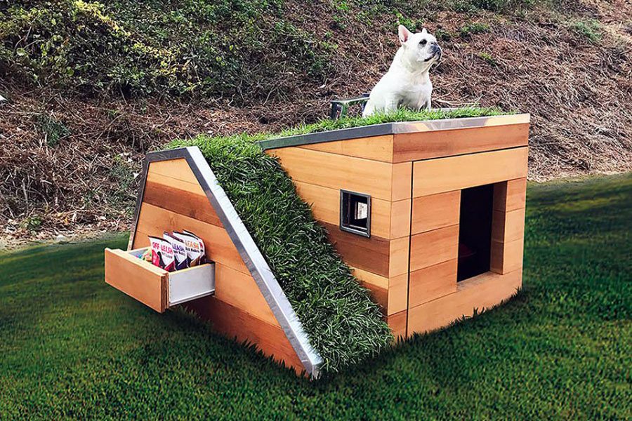 Dog Dream House